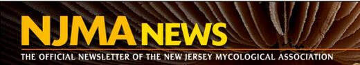 Picture of NJMA News Banner