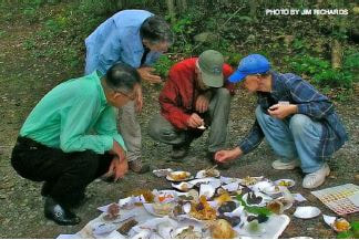 Picture of foray participants around identified mushroom collection