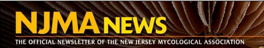 Picture of NJMA News newsletter banner